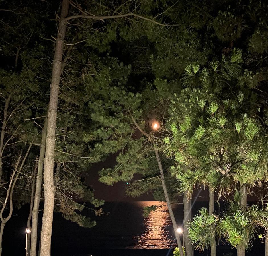Sanny Villa Grigoleti Dış mekan fotoğraf